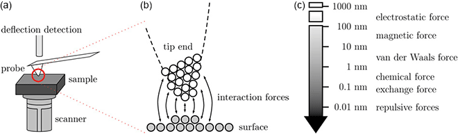 Fig. 1: a) Sketch of a macroscopically flat surface probed by a sharp tip. In our set-ups the sample is mounted on the scanner, while the probe tip is fixed in position. b) At small separations the atomic structure of tip and sample become important. c) By approaching the surface from a certain height in z-direction various distance dependent electromagnetic long- and short-range (interatomic) forces are detected.