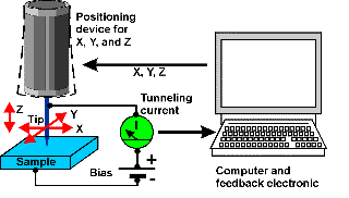 Schematic illustration of the scanning tunneling microscope Schematic illustration of the scanning tunneling microscope