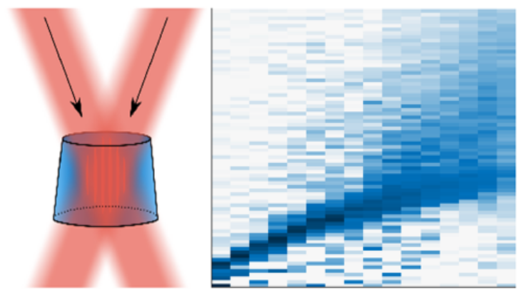 Excitation Spectrum and Superfluid Gap of an Ultracold Fermi Gas ...