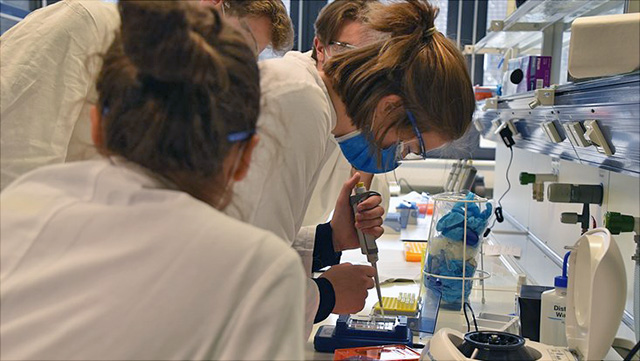 Schüler:innen beim Pipettieren